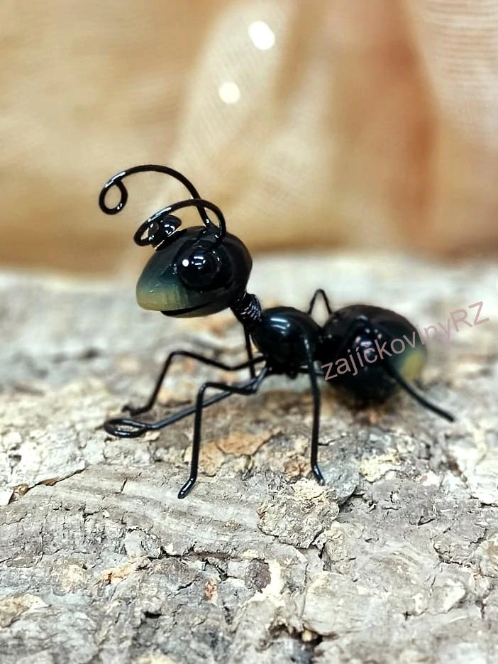 Mravenec malý, 12 cm