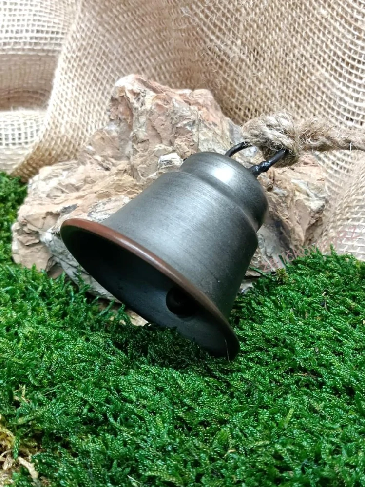 Zvoneček šedostříbrný, 7 cm