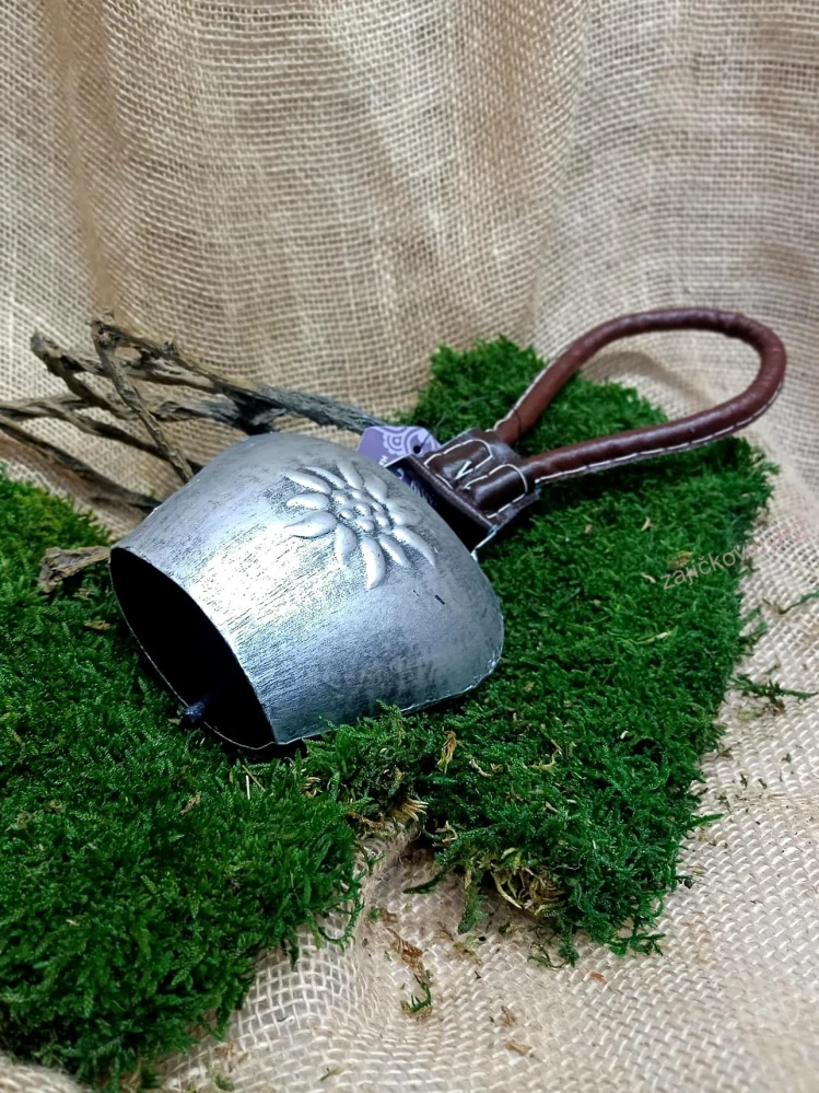 Alpský zvonec velký, šedostříbrný, 13x13  cm