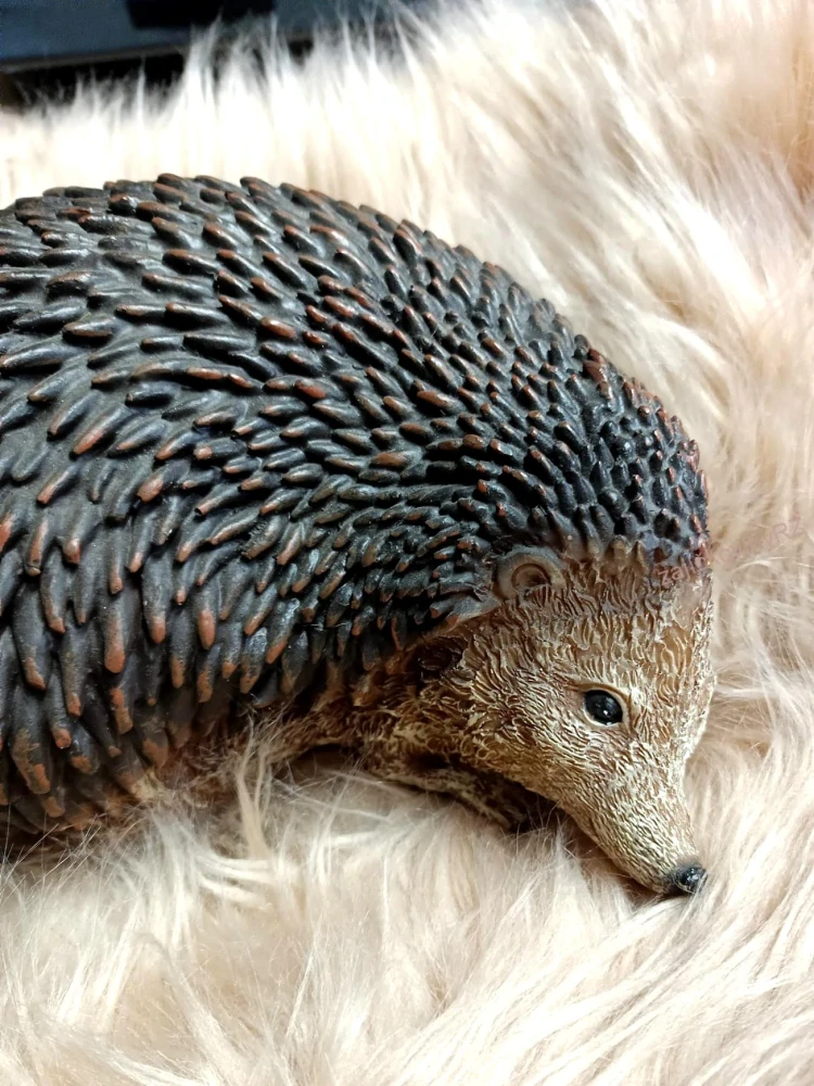 Ježek velký, 22 cm