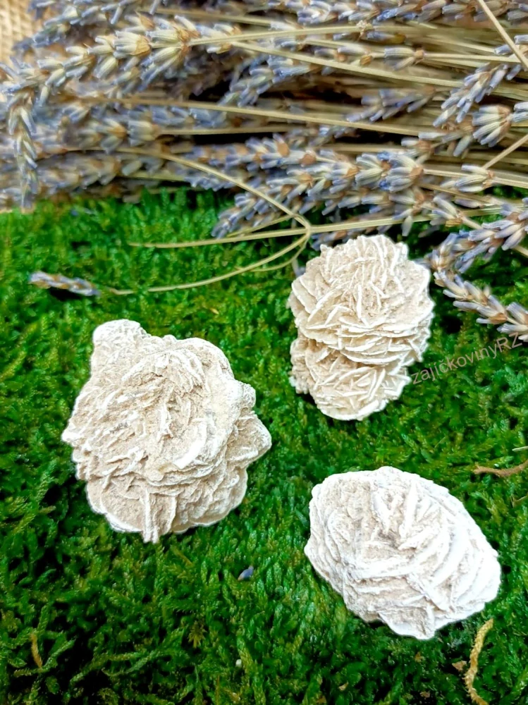 Sádrovec- pouštní růže, 1ks