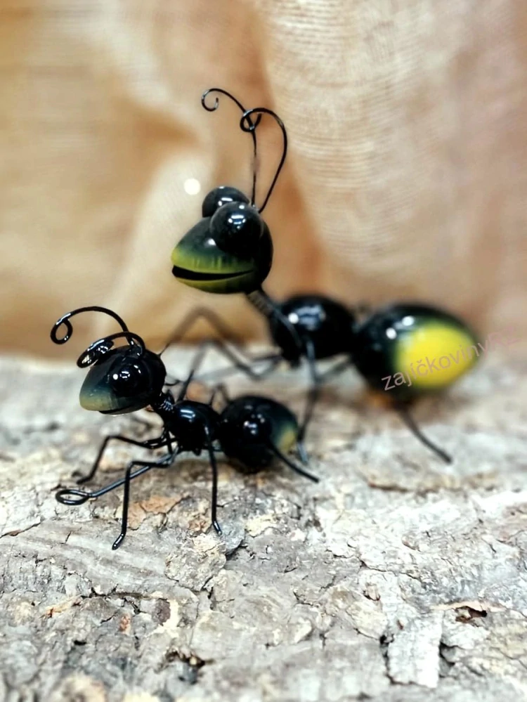 Mravenec malý, 12 cm