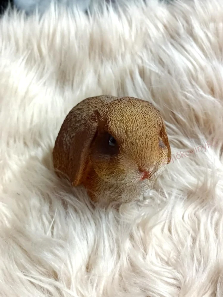 Králíček hnědý, 17 cm