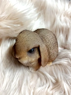 Králíček hnědý, 17 cm