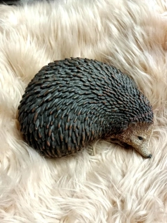 Ježek velký, 22 cm