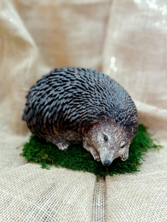 Ježek velký, 22 cm