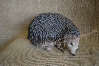 Ježek velký, 23 cm