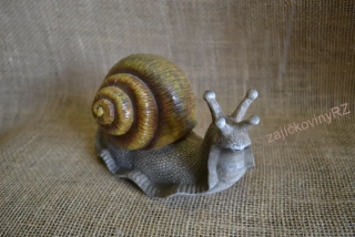 Šnek s ulitou velký, cca 28 cm
