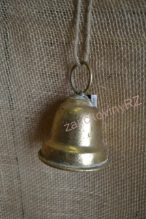 Zvoneček zlatý, 8 cm