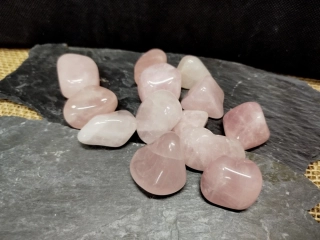 Růženín tromlovaný, 1 ks, 3-4 cm, náhodný výběr