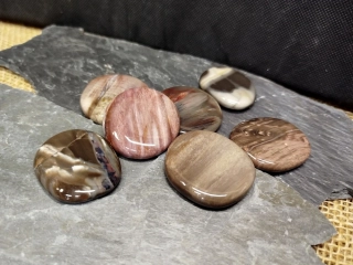 Placička tromlovaná - hmatka, zkamenělé dřevo, 4-5 cm, 1 ks, náhodný výběr