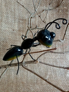 Mravenec malý, 13 cm