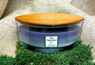 WoodWick svíčka loď 453 g Amethyst Sky