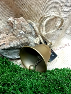 Zvoneček zlatý, 7 cm